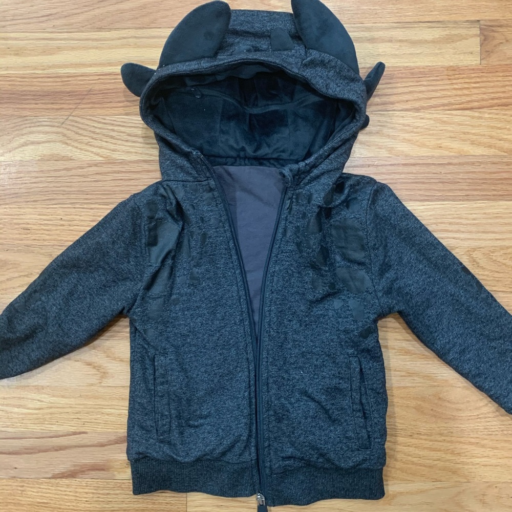 BOYS TOOTHLESS HOODIE